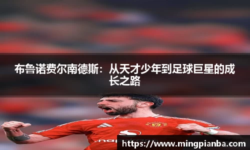 博鱼官方网站